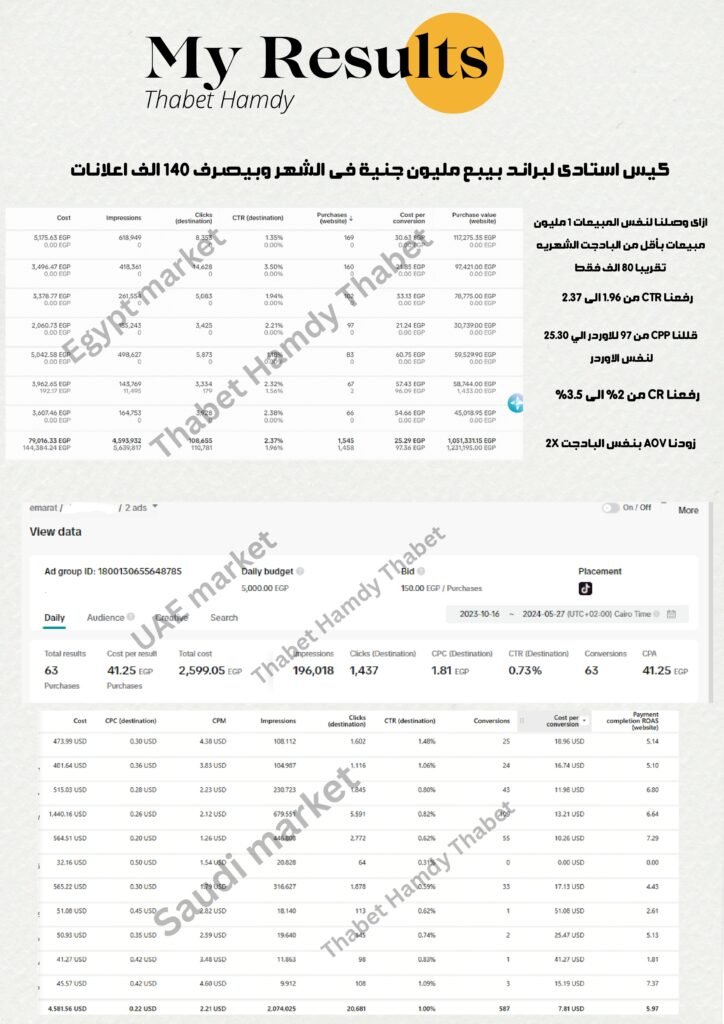  thabet hamdi media buyer portfolio page 0001