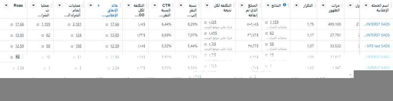 دراسة حالة: مراجعة مجموعة حملات بمتوسط ROAS 16.90 arabic dashboard roas